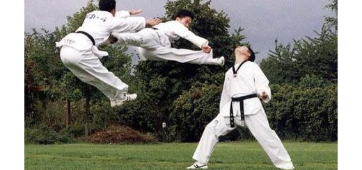 مقایسه و تفاوت های تکواندو و کاراته و کونگ فو